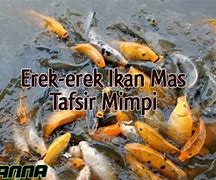 Mimpi Dapat Ikan Mas Merah Besar